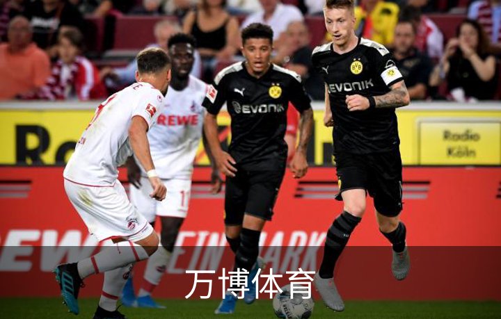 万博体育品牌故事